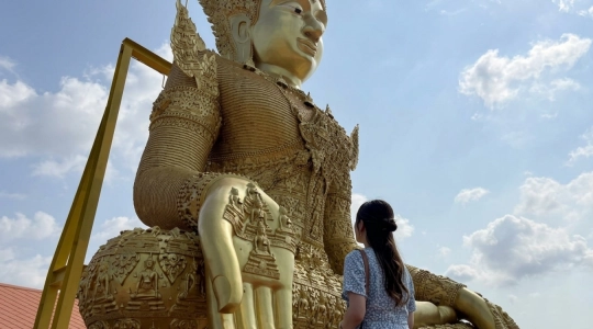 モンコンテープ